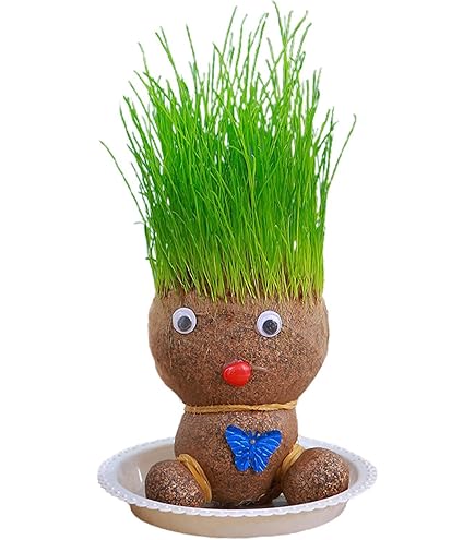 Amazon.co.jp: 卓上用ミニ盆栽ポットトレイ - グラスヘッドの髪が